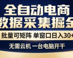 全自动电商数据采集掘金，批量可矩阵单窗口日入30+，无需云机一台电脑开干【揭秘】