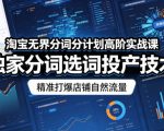 淘宝无界分词分计划高阶实战课，独家分词选词投产技术，精准打爆店铺自然流量
