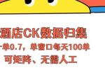 上班也能玩的酒店CK数据归集，一单0.7单窗口每天可做100单，一个人就能矩阵操作【揭秘】