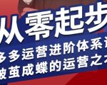 拼多多运营进阶系统课，从零起步，多多运营进阶体系课，破茧成蝶的运营之术（更新26年4月）