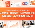 短视频IP私教实战班｜小红书流量引爆+私域成交+带徒盈利，专属陪跑，小白也能快速起号