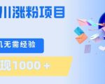 刚需千川涨粉项目，一部手机无需技术，单日变现1k+，当天做当天见收益【揭秘】