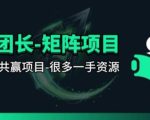【团长合作】视频矩阵项目_招发手矩阵+剪辑师，共赢项目【揭秘】