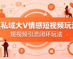 某私域大V情感短视频玩法，短视频引流闭环玩法
