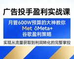 广告投手盈利实战课，月管600W预算的大神教你Meta+谷歌盈利策略，实现从流量获取到利润转化的完整掌控