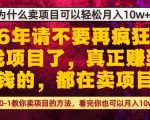 为什么真正賺到钱的都在卖项目，从0-1教你卖项目的方法，看完你也可以月入10w+【揭秘】
