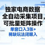 独家电商数据全自动采集项目，可批量矩阵操作，单窗口日入3张+，稀缺玩法闭眼入【揭秘】