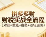 拼多多财税实战全流程（对账+做账+税务+职场进阶）