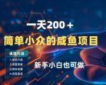 一天收入2张，一个简单小众的咸鱼项目，0门槛小白也能做