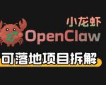 小龙虾OpenClaw+秘塔AI项目，实战可落地项目【变现链路拆解】