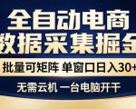 全自动电商数据集掘金，批量可矩阵，单窗口日入30+，无需云机，一台电脑开干【揭秘】