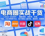 电商圈实战干货（2023-2026年），覆盖淘系、拼多多、抖音、小红书等多平台，助力电商人避开坑、提效率、稳盈利
