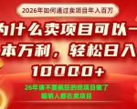 一单净利润1K+，26年想年入100个W，死磕卖项目就够了【揭秘】