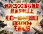 老牌CSGO游戏挂G，稳定5年以上，小白一部手机单日賺3张+，无需电脑【揭秘】