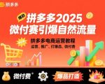 拼多多微付费引爆自然流量，拼多多电商运营教程，运营、推广、打爆品、微付费（更新26年2月）