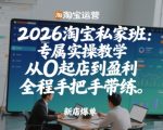 2026淘宝私家班：专属实操教学，从0起店到盈利，全程手把手带练（更新）