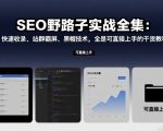 SEO野路子实战全集：快速收录、站群霸屏、黑帽技术，全是可直接上手的干货教程