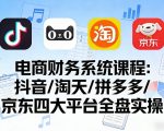 电商财务系统课程，覆盖抖音、淘天、拼多多、京东四大主流平台的全盘实操
