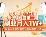 短视频图书口播带货训练营第二期，副业月入1W＋，普通人也能复制的短视频带货玩法