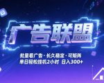 广告联盟全自动掘金，无需人工自动批量看广告，单窗口最高收益30+可矩阵月入1W+【揭秘】