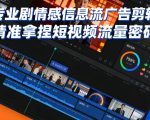 专业剧情感信息流广告剪辑，精准拿捏短视频流量密码