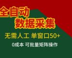 全自动数据采集项目，无需人工，单窗口可达50+收益，操作简单无难度，一个人也能轻松实现矩阵【揭秘】