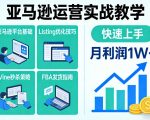 亚马逊运营实战教学，亚马逊平台+Listing优化+Vine秒杀+FBA发货等，快速上手，实现店铺月利润1W