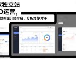 谷歌独立站SEO运营，手把手教你提升网站排名、分析竞争对手（更新2026）