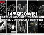14天涨20W粉！情绪放大镜动物心理学短视频制作教学，流量太猛了，多平台发布撸平台创作者收益