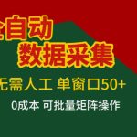 全自动数据采集，无需人工，单窗口50+，0成本可批量矩阵操作【揭秘】