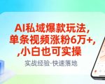 AI私域爆款玩法，单条视频涨粉6W+，小白也可实操