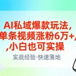 AI私域爆款玩法，单条视频涨粉6W+，小白也可实操