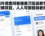 海外调查问卷賺美刀实战教学，老牌项目，人人可做稳如老狗