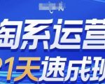 淘系运营21天速成班，0基础轻松搞定淘系运营，不做假把式，快速复制落地(更新26年1月)
