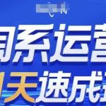 淘系运营21天速成班，0基础轻松搞定淘系运营，不做假把式，快速复制落地(更新26年1月)