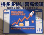 拼多多特训营高阶班，独家玩法赋能，突破运营天花板（更新26年1月）