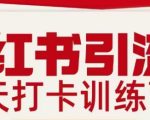 小红书引流21天打卡训练营第二期，助你快速打通小红书私域引流打粉