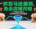 抓亚马逊漏洞，免去店铺月租，一个流量大竞争小，让你有机会成大卖的赛道