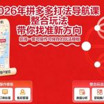 2026年拼多多打法导航课，整合玩法，带你找准新方向，获得一套可操作可保存的玩法模板