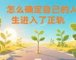 某公众号付费文章：怎么确定自己的人生进入了正轨？