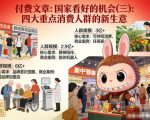 付费文章：国家看好的机会(三)：四大重点消 费人群的新生意