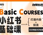 自媒生路小红书基础课，打通内容+投流，2025年起小红书必备