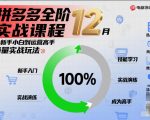 拼多多全阶实战课程12月，从新手小白到运营高手，海量实战玩法