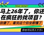 26年了，不要再疯狂的找项目了，看完这个你也可以月入十个W【揭秘】