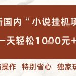 全新国内小说挂G项目，多窗口无脑跑，一天轻松1k+，特别省心【揭秘】