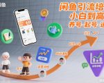 闲鱼引流培训，小白到高手，养号-起号-运营