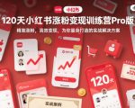 120天小红书涨粉变现训练营Pro版，​精准涨粉，高效变现​，为你量身打造的实战解决方案