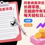 问卷调查项目，长期零撸，无脑操作有手就行，每天轻松日入100+【揭秘】