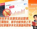 拼多多无货源实战运营课，无需囤货，新手也能快速上手，轻松掌握多多无货源盈利逻辑