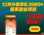 12月外面带队3980的居家副业项目，一部手机实测3天到账9张+，首发教程【揭秘】